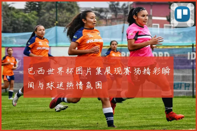 巴西世界杯图片集展现赛场精彩瞬间与球迷热情氛围